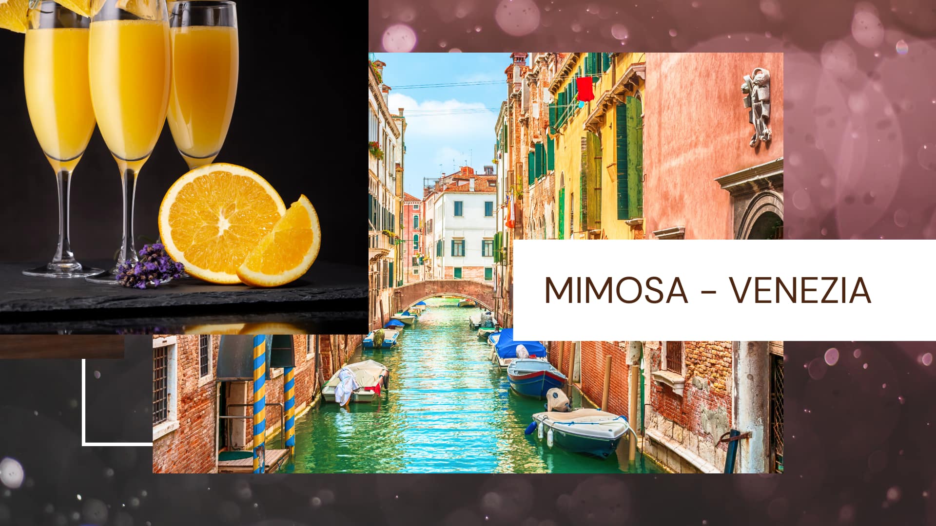 mimosa venezia ⋆ Estetica Giusy